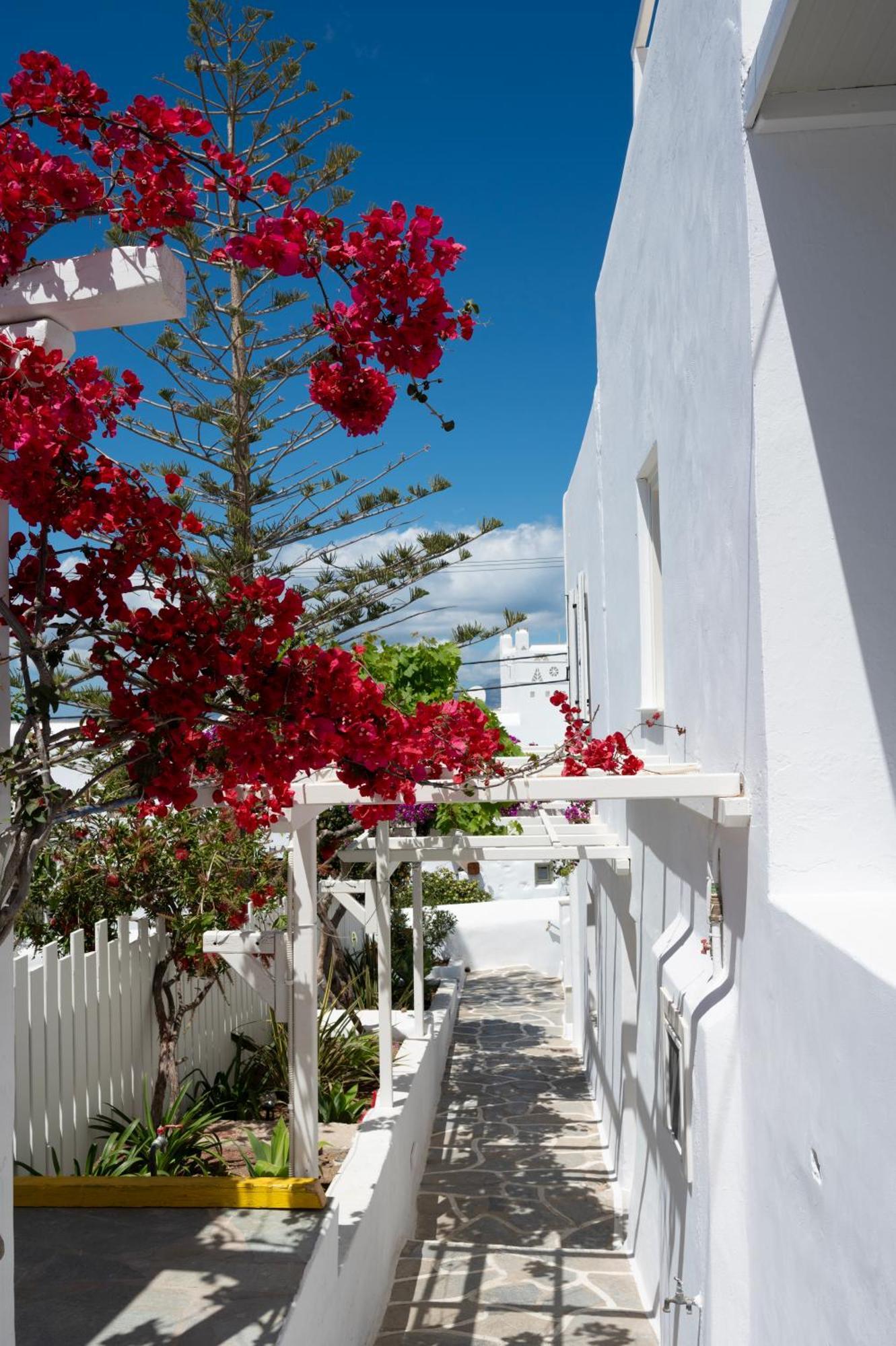 Boutique Di Vito Hotel Mykonos Town Ngoại thất bức ảnh