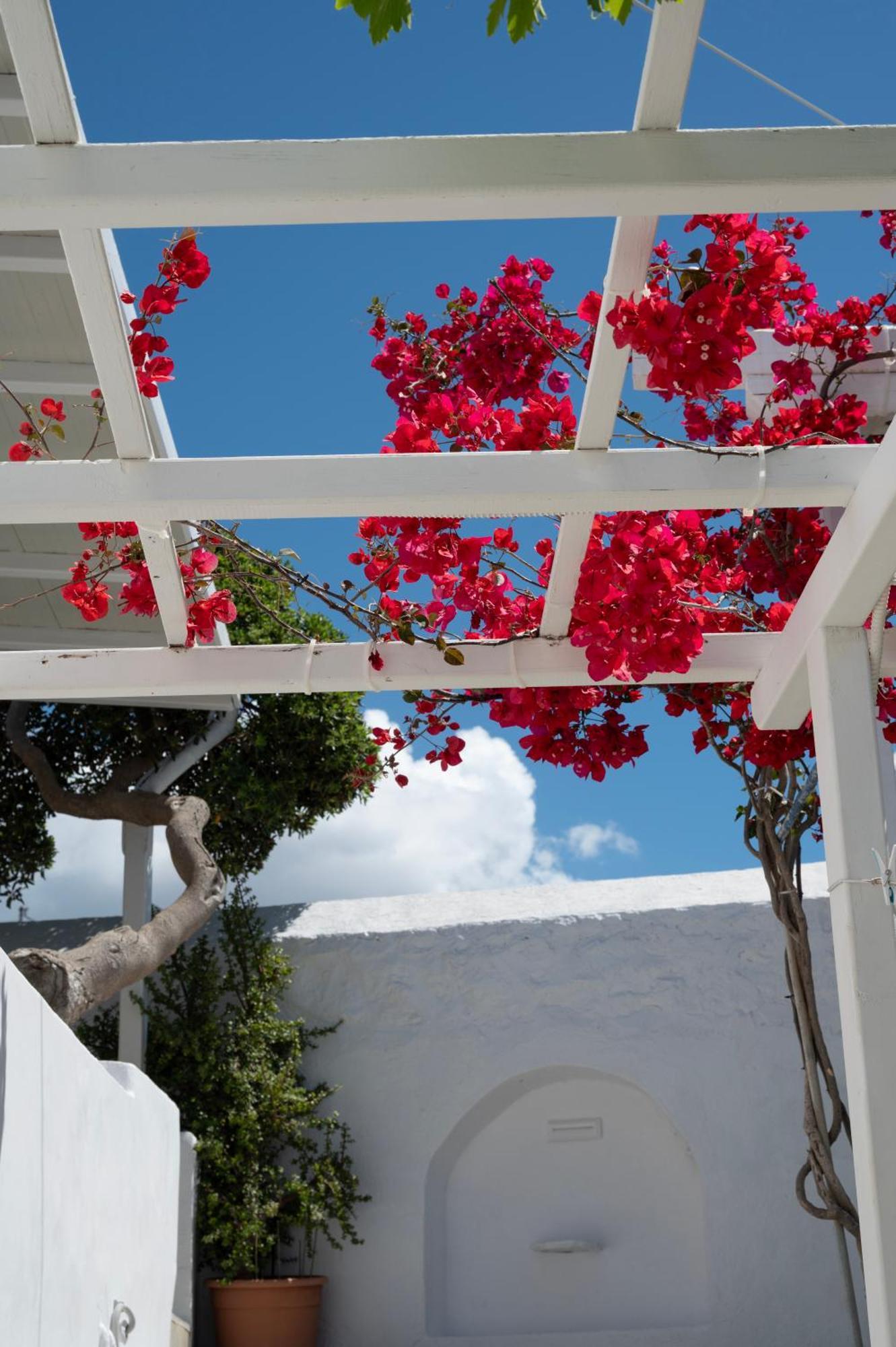 Boutique Di Vito Hotel Mykonos Town Ngoại thất bức ảnh