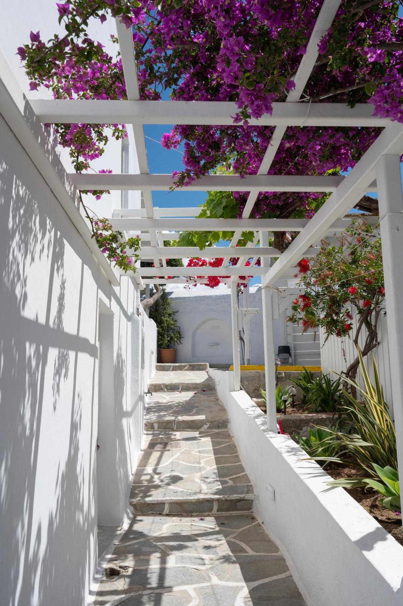 Boutique Di Vito Hotel Mykonos Town Ngoại thất bức ảnh