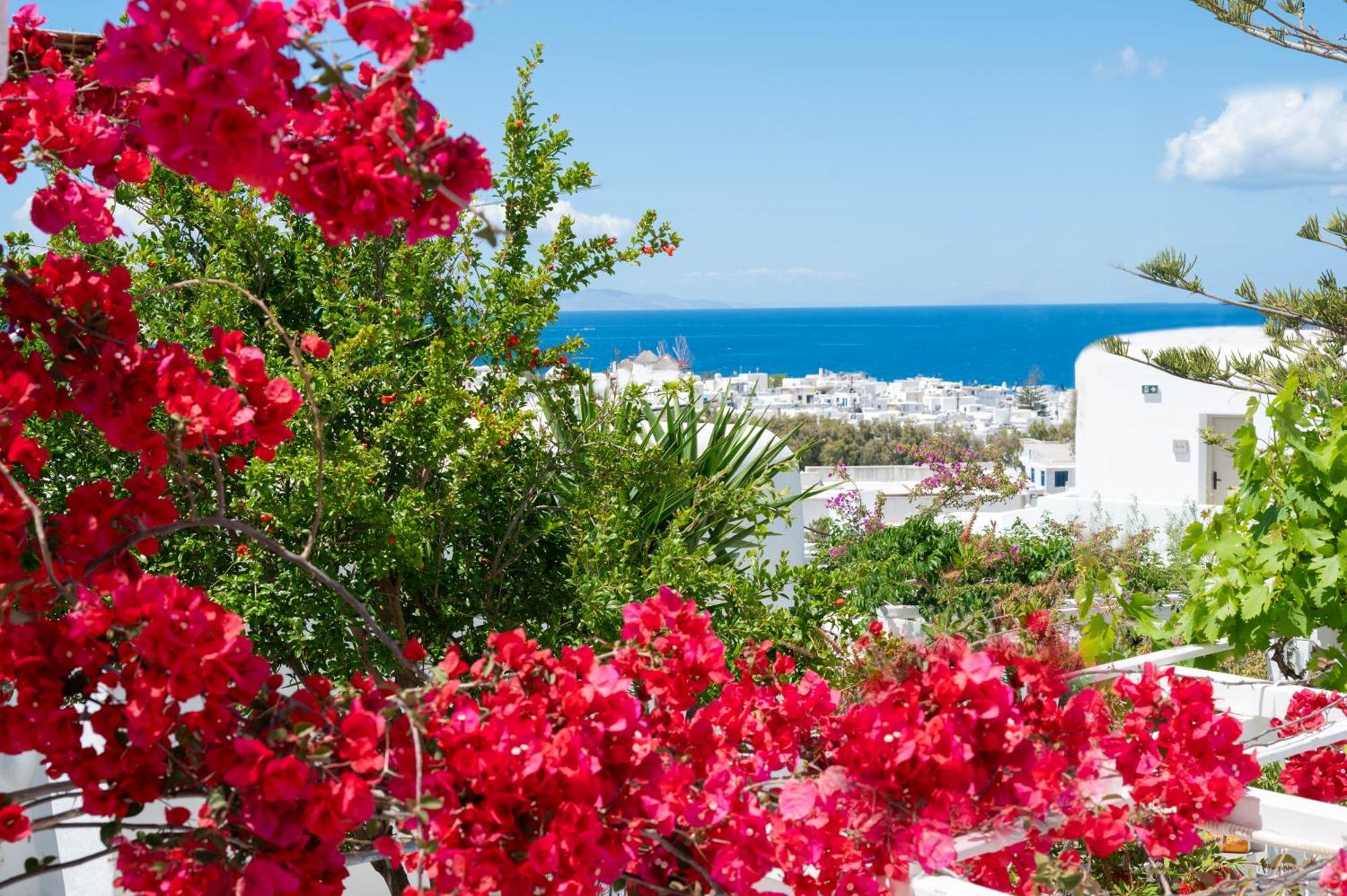 Boutique Di Vito Hotel Mykonos Town Ngoại thất bức ảnh